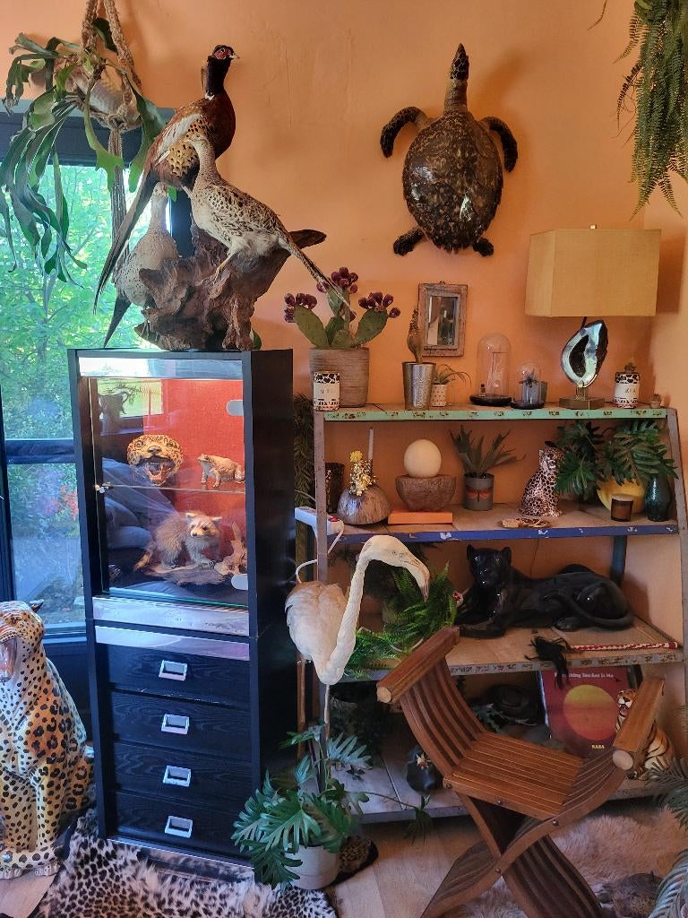 Jaren 70 vitrine kast, Antiek en Kunst, Ophalen