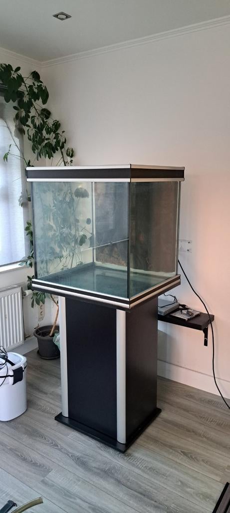 Mooie aquarium, Dieren en Toebehoren, Vissen | Aquaria en Toebehoren, Decoratie, Pomp, Verwarming, Ophalen