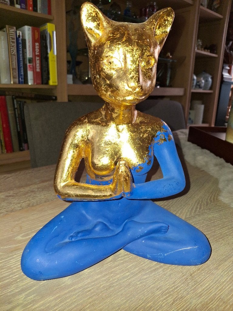 De unieke 'Yoga Cat'  door Mia Coppola, Ophalen