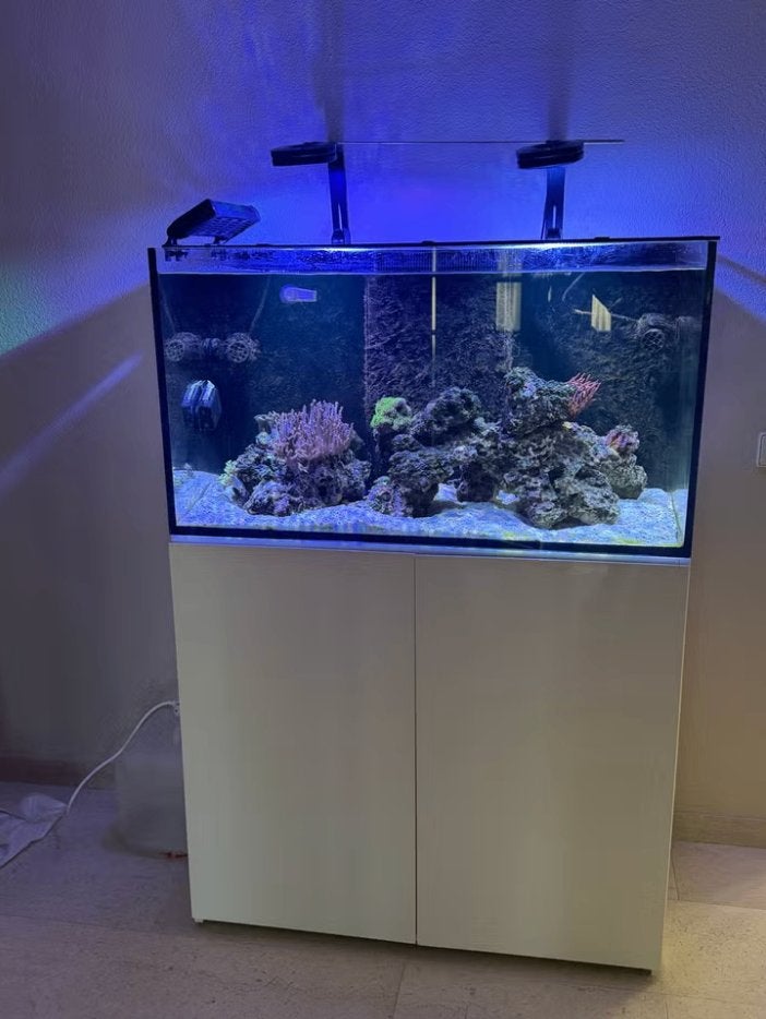 Compleet zeeaquarium ca 300L | Vissen | Koraal | Reefmat |, Ophalen, Gevuld zeewateraquarium, Inclusief vissen, Zo goed als nieuw