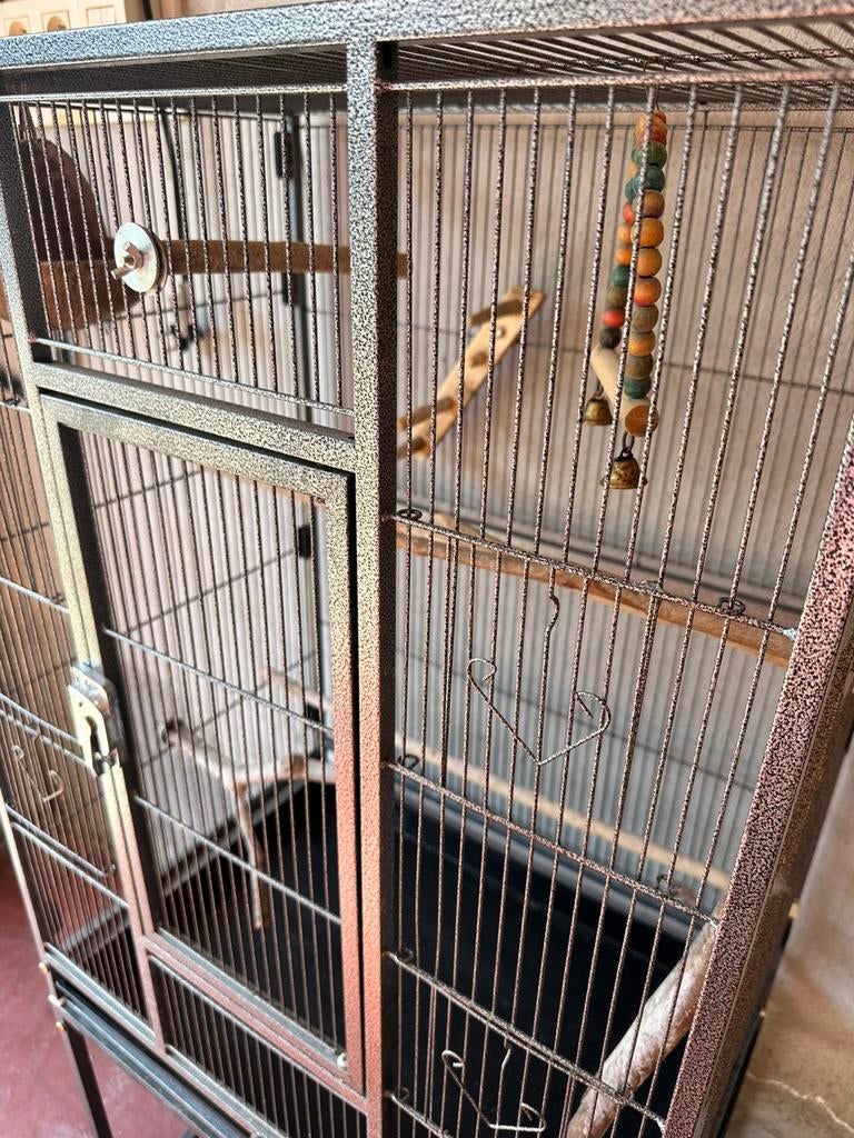 Grote vogelkooi, Enlèvement, Cage à oiseaux