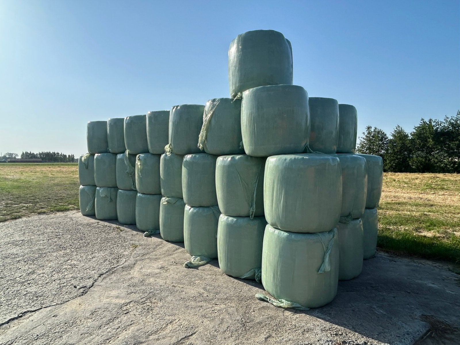VERKOOP VAN MIDI RONDE BALEN VOORDROOG, Dieren en Toebehoren, Ophalen