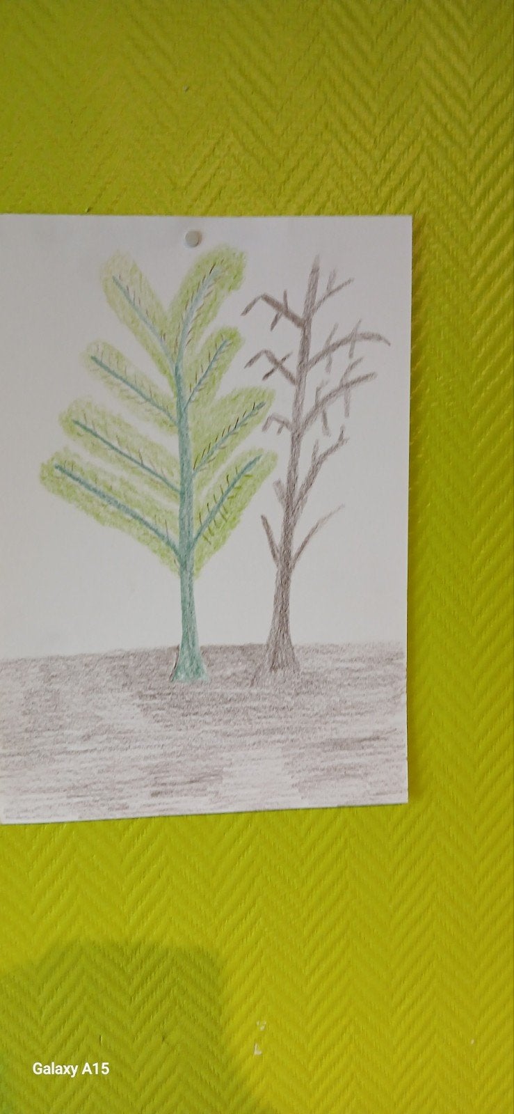 de boom, Antiek en Kunst, Ophalen of Verzenden
