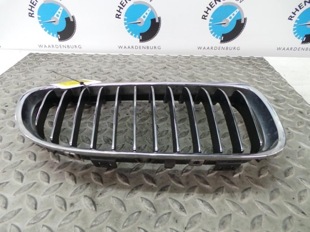 BMW 3 SERIES GRILLE 2010, Ophalen of Verzenden, Gebruikt, ARN erkend