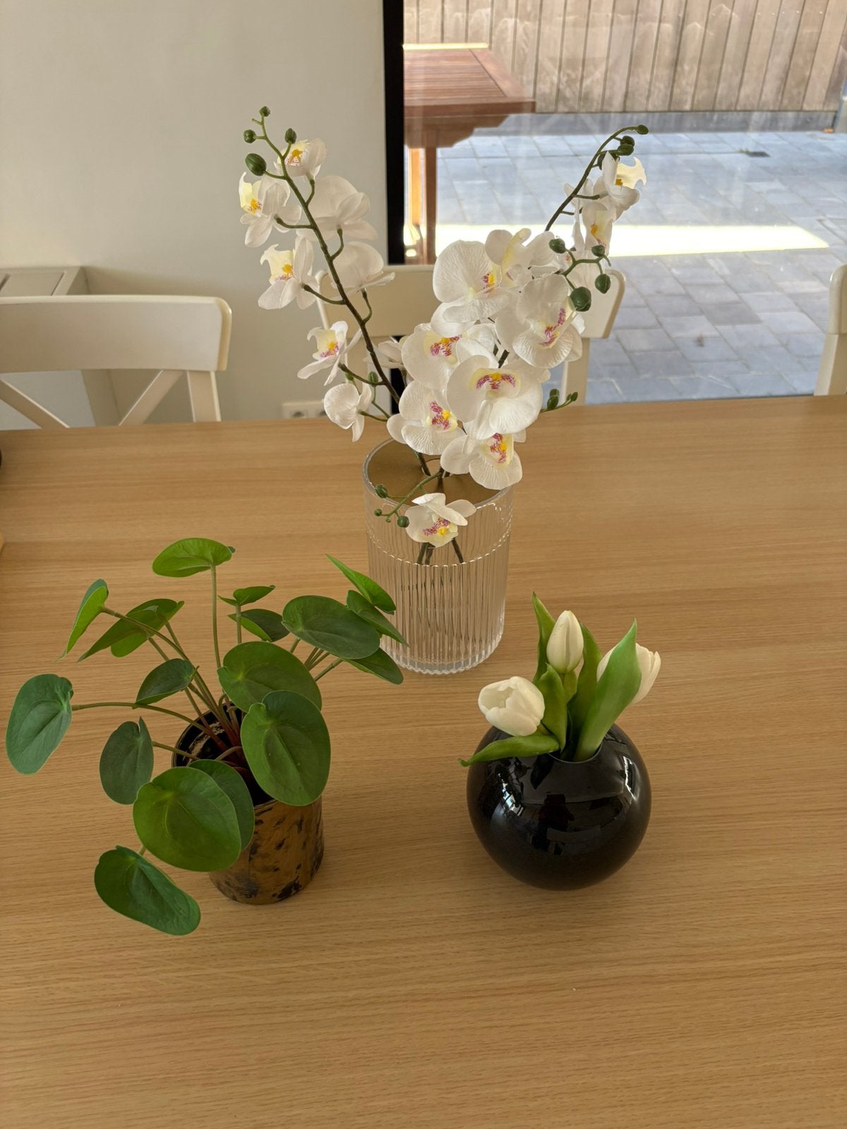 Plantes artificielles, Enlèvement, Comme neuf