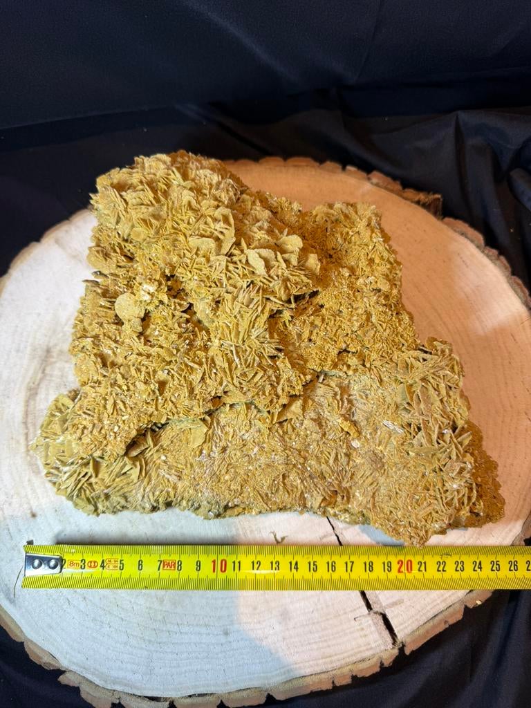 Grote Sahara Zandroos (2,1 kg) – uniek stuk – €46, Ophalen of Verzenden, Overige typen