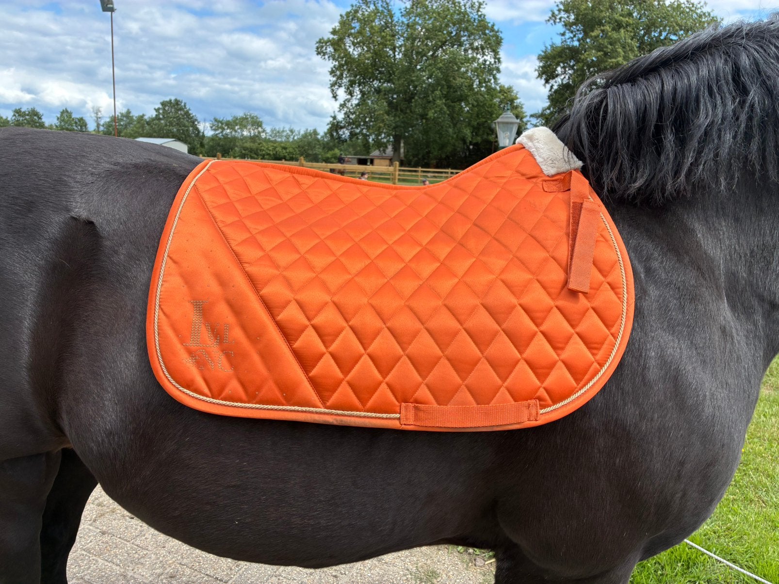Dekjes te koop, Dieren en Toebehoren, Paarden en Pony's | Dekens en Dekjes, Ophalen, Zo goed als nieuw, Oranje