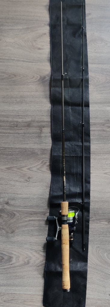 Fenwick Eagle GT (met of zonder molen Shimano / Mitchell), Ophalen, Zo goed als nieuw, Werphengel