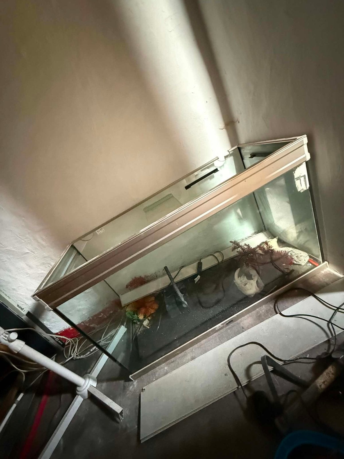 aquarium 250 liter met toebehoren