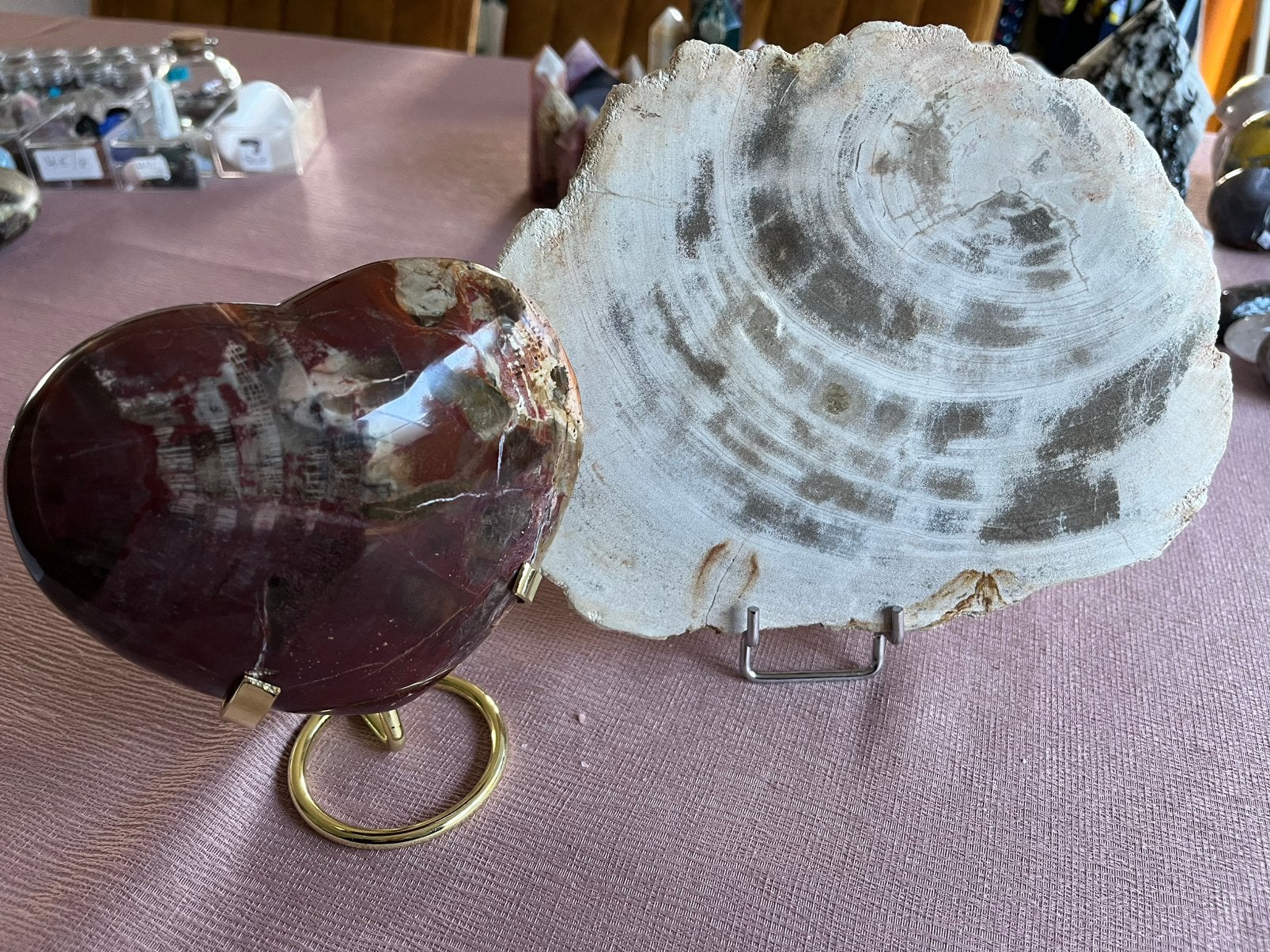 Set versteend hout, Ophalen of Verzenden, Mineraal