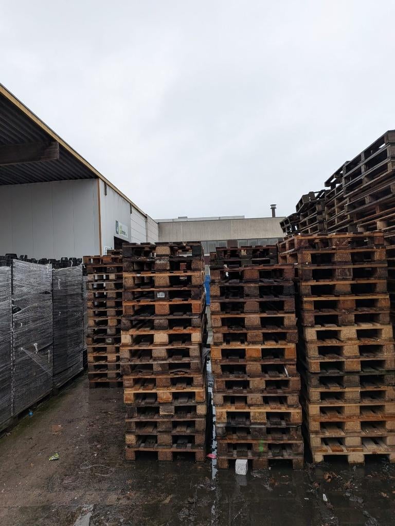 euro pallets gebruikt minimaal per 100st - regelmatige basis, Ophalen