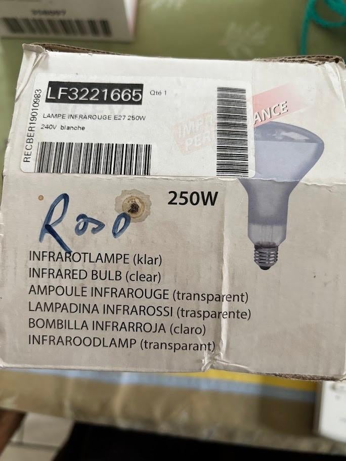 2 nieuwe infrarood lampen E27 250W - horeca, Ophalen, Gloeilamp, 60 watt of meer, Nieuw