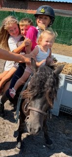 Kinderpony, Dieren en Toebehoren, Pony's, Merrie, Met stamboom, Zadelmak, A pony (tot 1.17m)