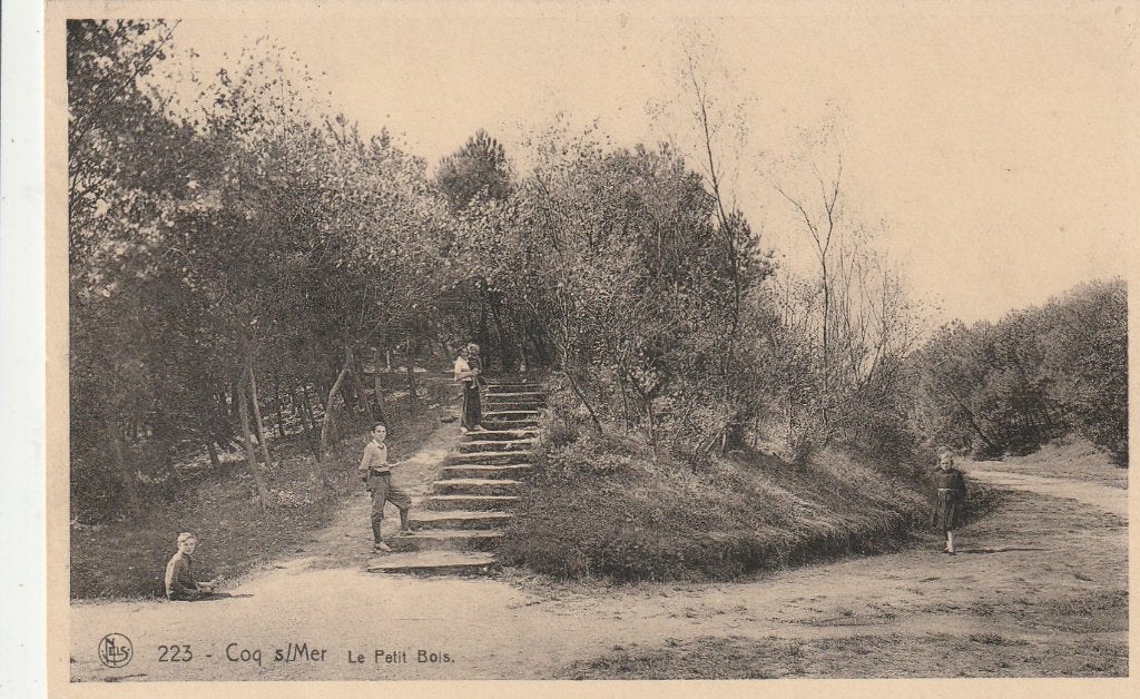 De Haan-Coq sur mer, Verzenden