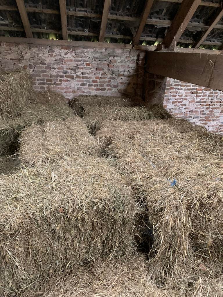 Hooi, Dieren en Toebehoren, Stalling en Weidegang