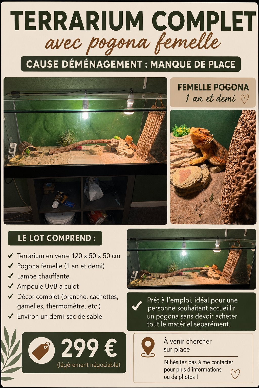 Terrarium complet, Animaux & Accessoires, Reptiles & Amphibiens | Accessoires, Comme neuf, Enlèvement