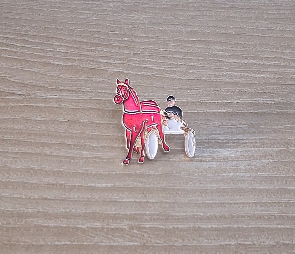 PIN - PAARDENKOERS - COURSE A CHEVAL, Envoi, Utilisé, Sport, Insigne ou Pin's