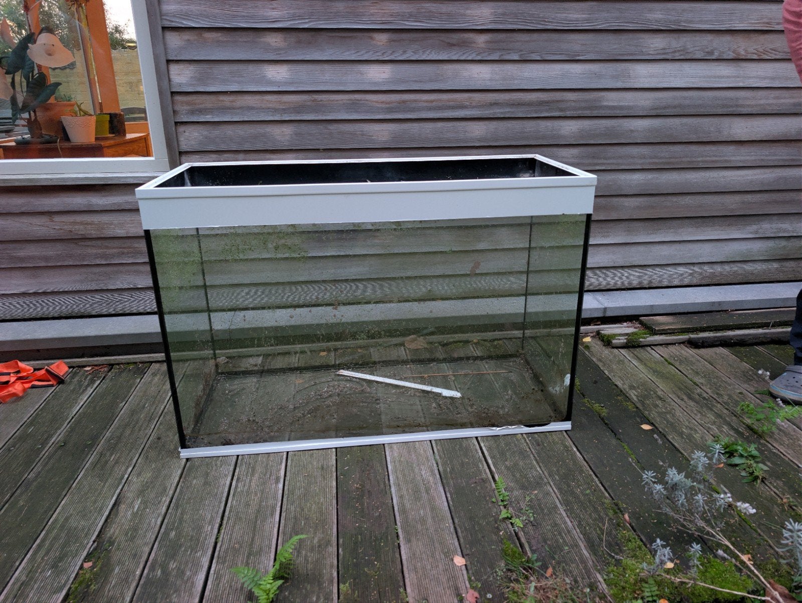 lek aquarium, Enlèvement