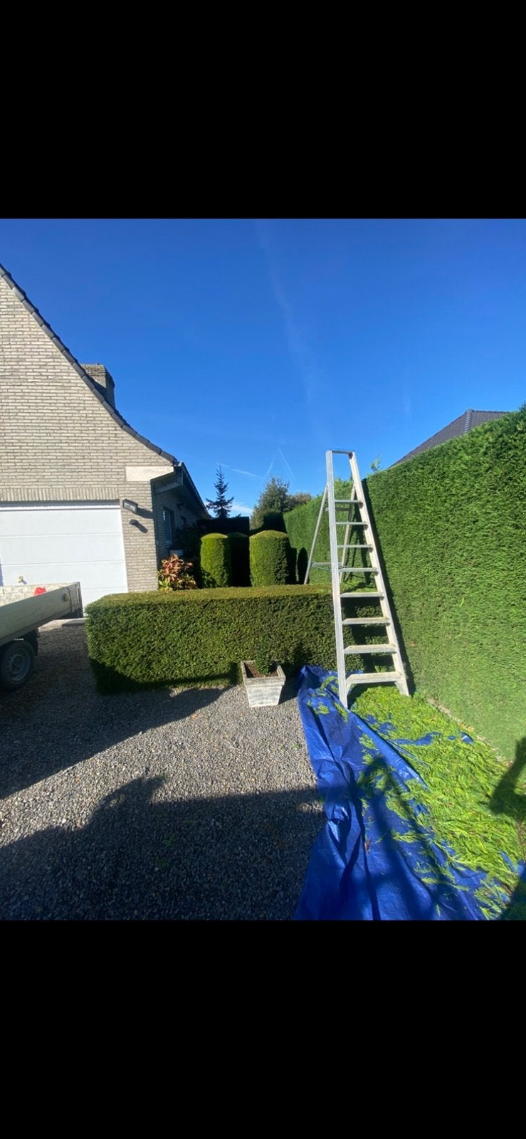 KLUSJESMAN & TUINMAN, Ophalen