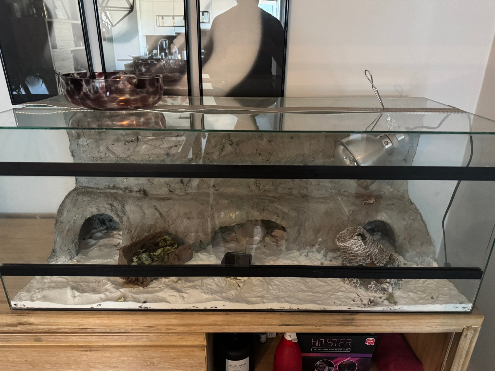 terrarium, Dieren en Toebehoren, Reptielen en Amfibieën | Toebehoren, Ophalen of Verzenden, Zo goed als nieuw