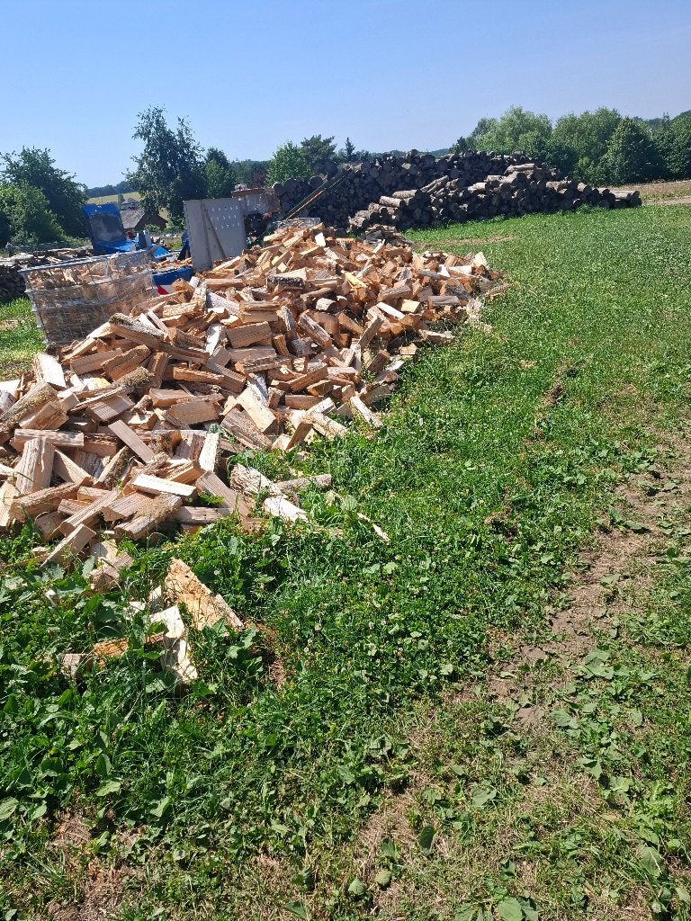 Bois de chauffage, Jardin & Terrasse, 6 m³ ou plus, Enlèvement, Autres essences de bois, Bûches