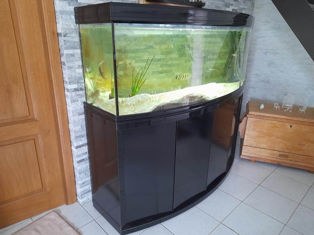 AQUARIUM COMPLET, Enlèvement, Chauffage, Utilisé