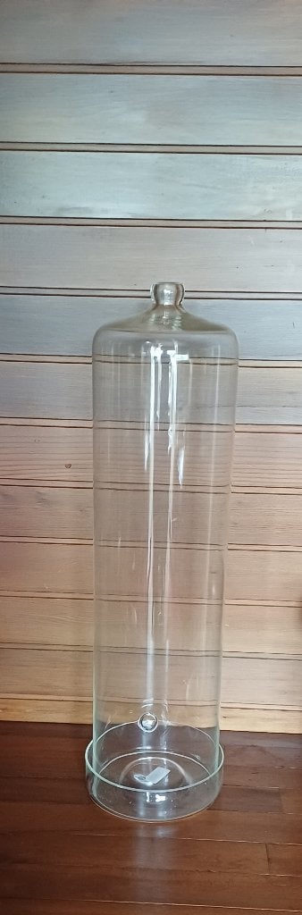 Grande cloche en verre pour plantes, Neuf, Verre, Avec pied, Enlèvement