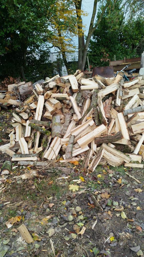 Populieren brandhout, Tuin en Terras, Brandhout, 6 m³ of meer, Ophalen, Overige houtsoorten, Blokken