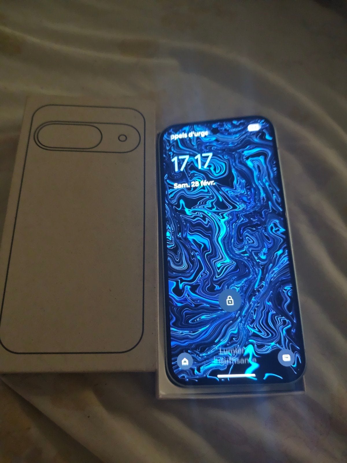 Google Pixel 9 256 Go, Enlèvement, Bleu