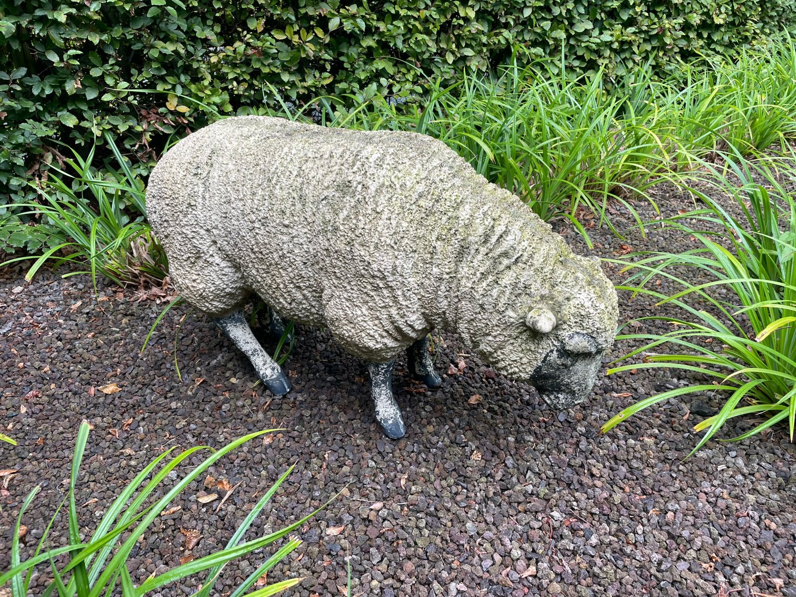 Schaap, Tuin en Terras, Ophalen