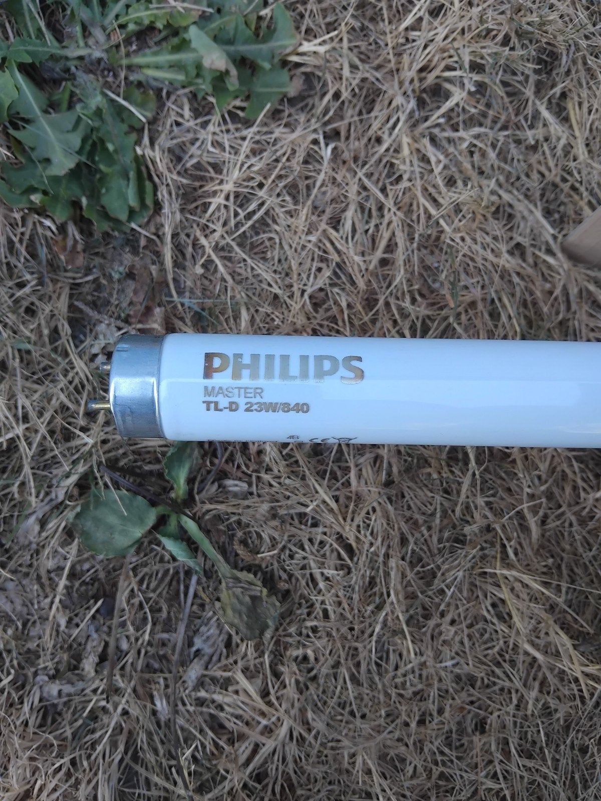 Doos met 25 nieuwe philips TL-lampen TLD 23w/840, Ophalen