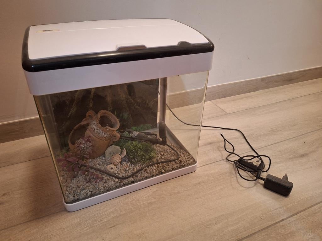Aquarium + toebehoren, Dieren en Toebehoren, Ophalen