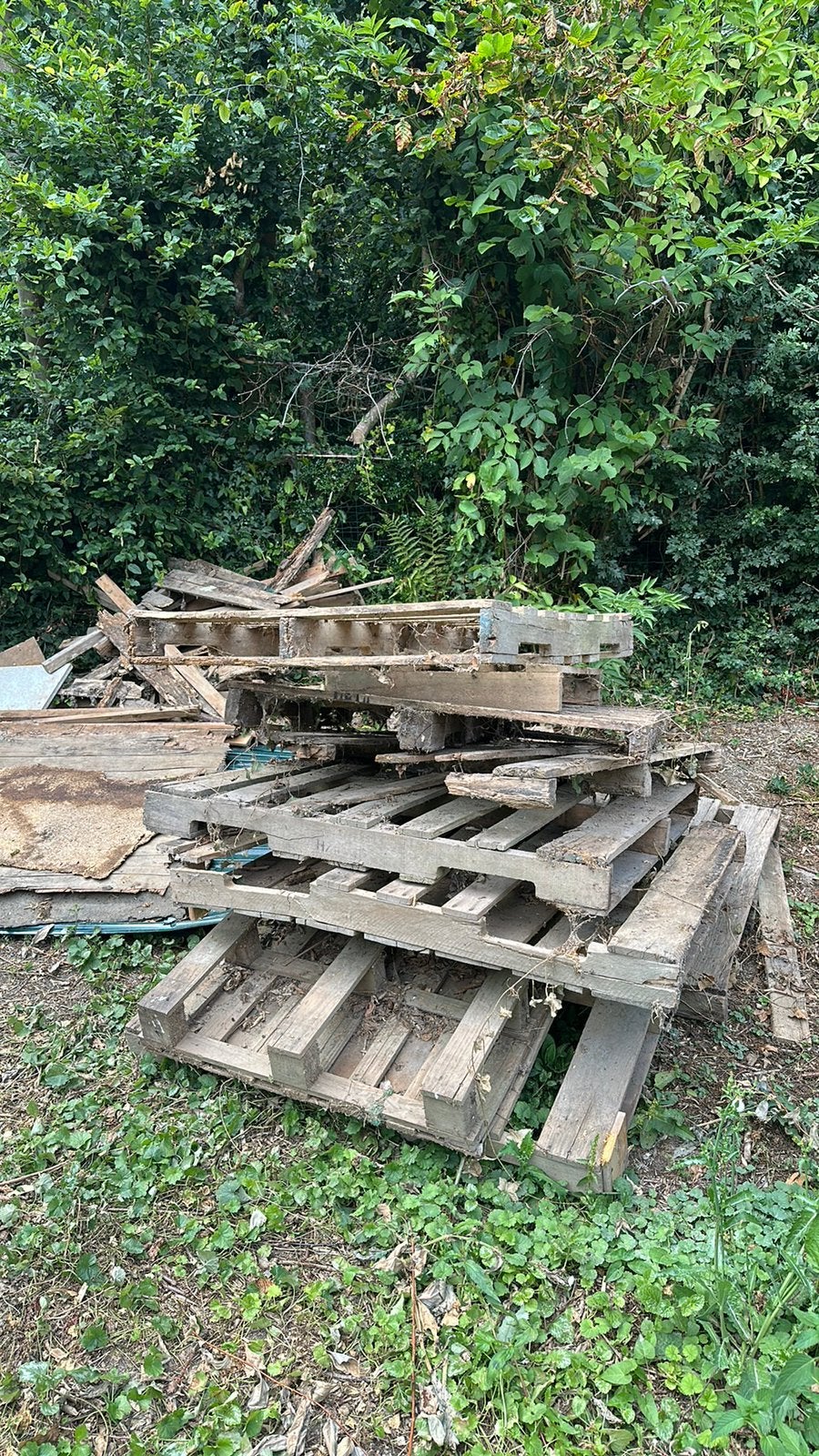 GRATUIT - Bois de chauffage, Enlèvement