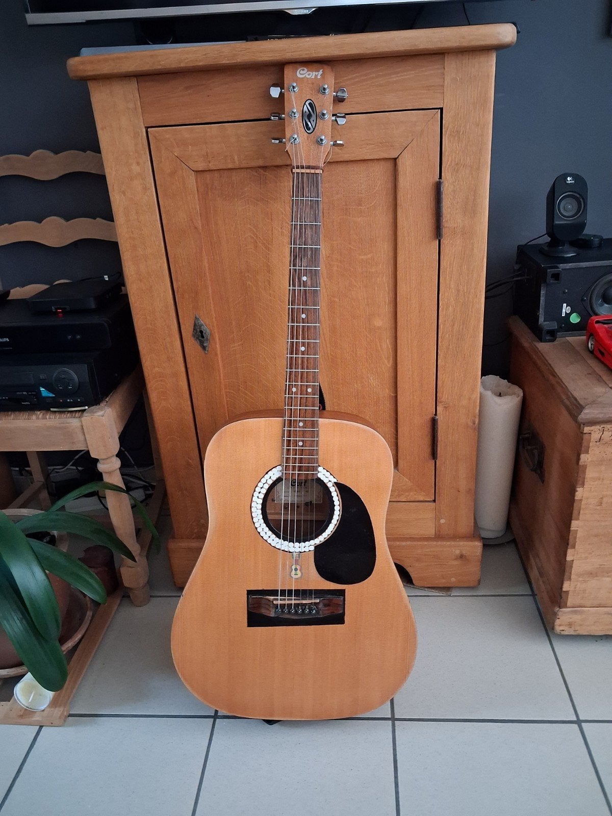 Gitaar, Muziek en Instrumenten