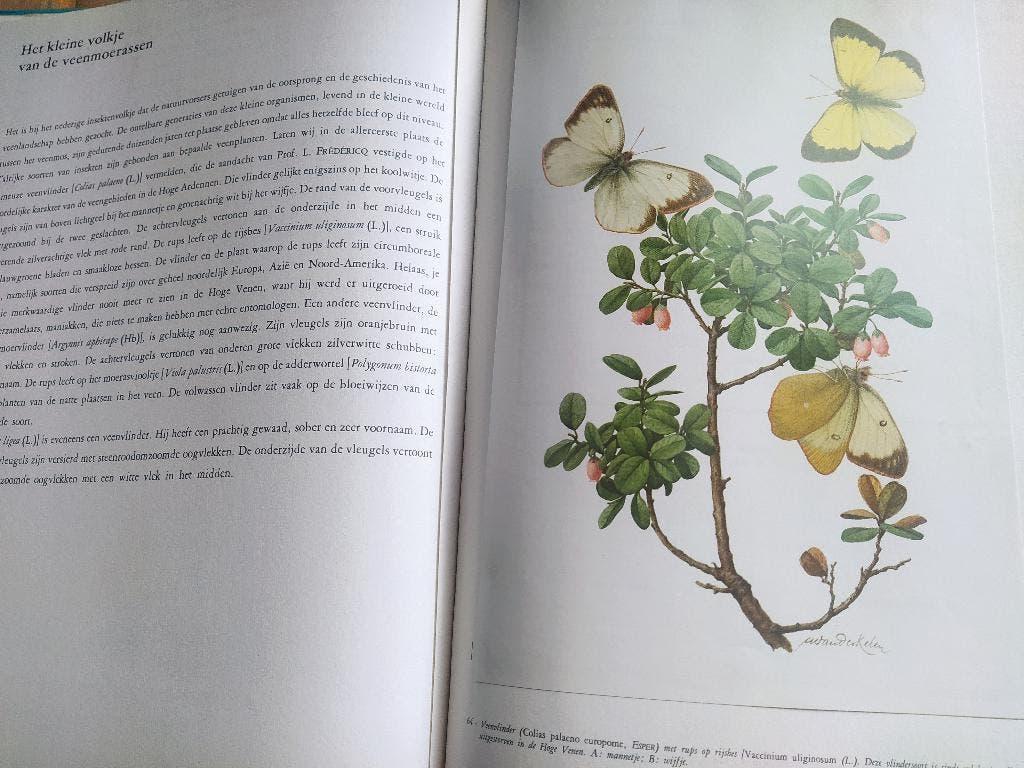 boek: natuur-en vogelreservaten/Hoge Venen & De Kempen, Boeken, Natuur, Ophalen of Verzenden, Gelezen, Natuur algemeen