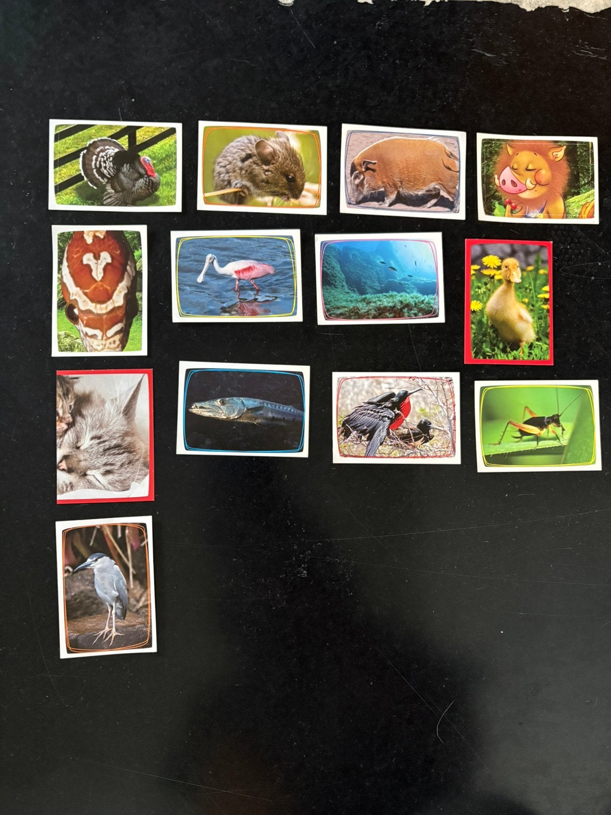 13 autocollants Panini Animal World, Enlèvement ou Envoi, Neuf