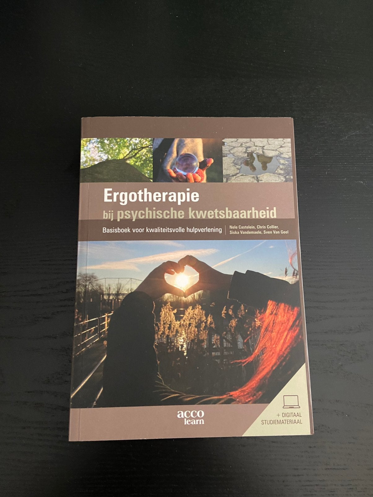 Nele Castelein - Ergotherapie bij psychische kwetsbaarheid, Livres, Santé, Diététique & Alimentation, Enlèvement