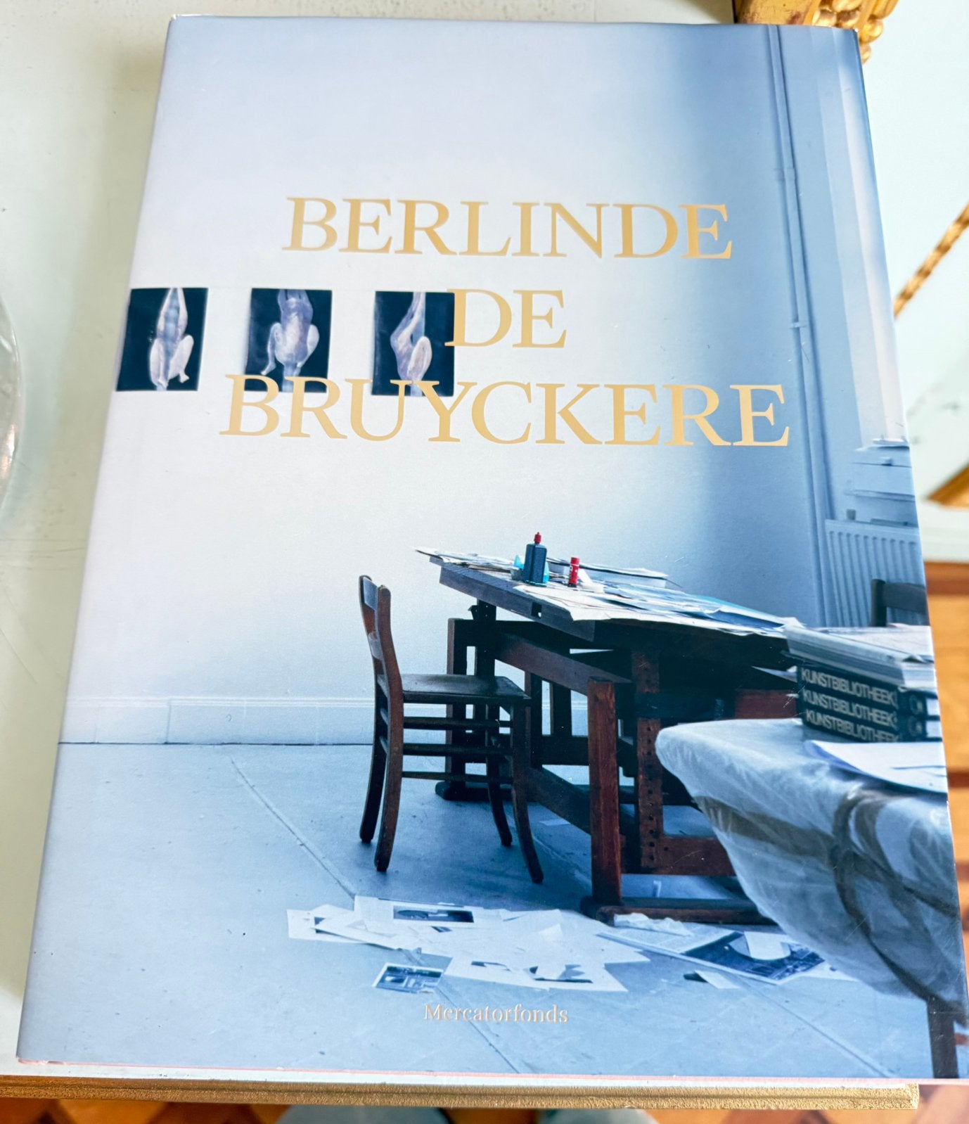 Berlinde De Bruyckere, Ophalen of Verzenden, Zo goed als nieuw