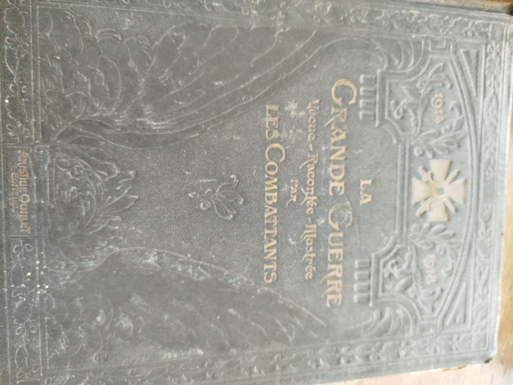 Boek The Great War, Landmacht, Voor 1940, Ophalen, Gelezen