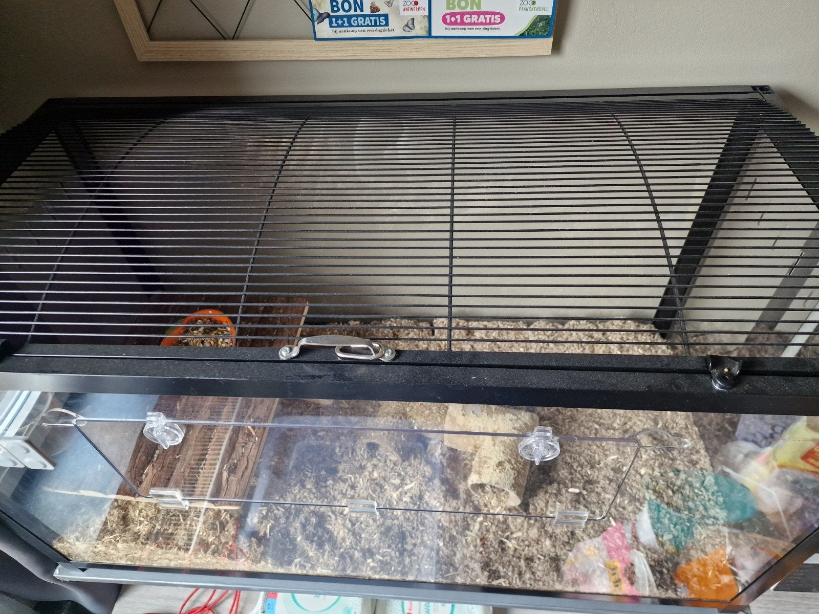hamster terrarium, Animaux & Accessoires, Enlèvement, Cage, Hamster