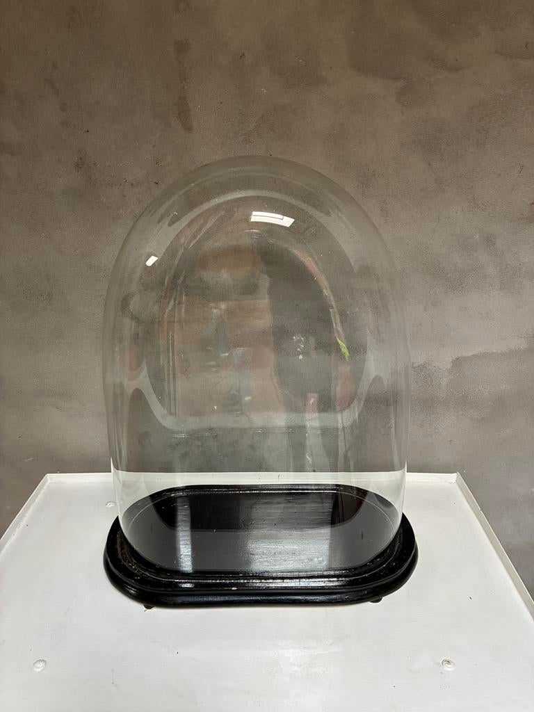 Glazen stolp met houten voet, Enlèvement, Utilisé