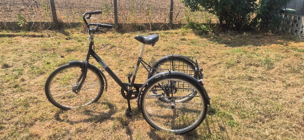 Driewieler volwassenen, Fietsen en Brommers, Fietsen | Driewielfietsen, Gebruikt, Ophalen
