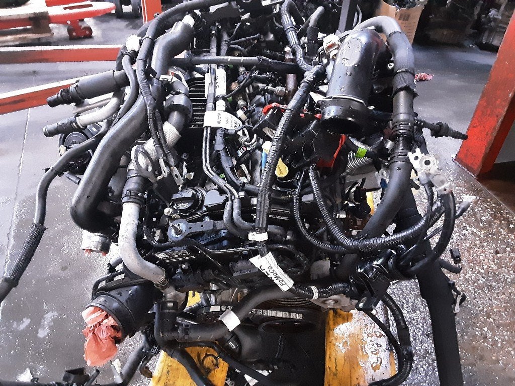 MOTOR Ford USA Ranger Extended Cab, Super Cab (T20DD0J), Auto-onderdelen, Gebruikt, Mevr. I. Hauben, Rue de l'Espoir 34 34
4030  GRIVEGNÉE, BE