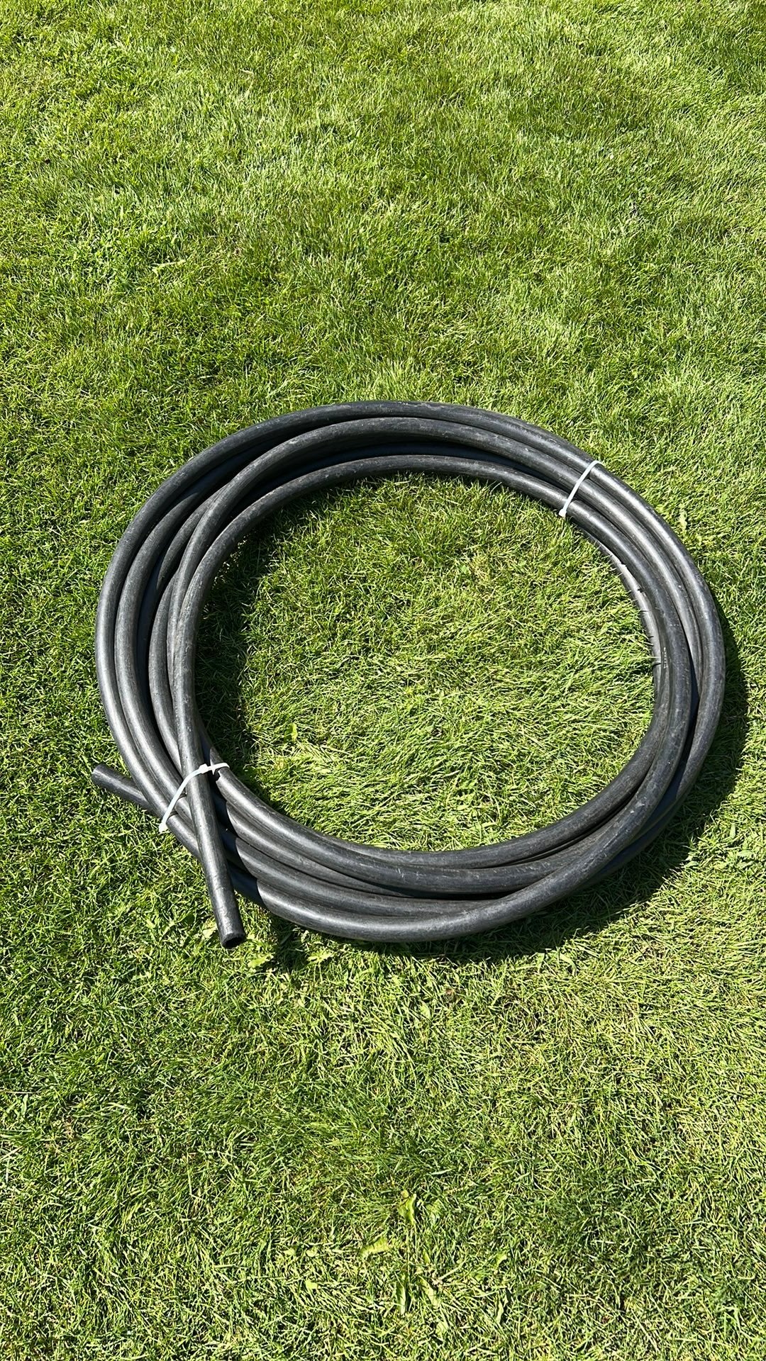 Zwarte waterdarm, Tuin en Terras, Ophalen, Zo goed als nieuw