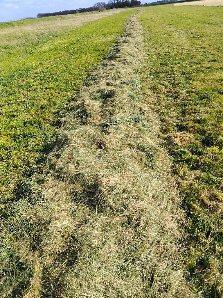 gewikkelde graspakken, Zakelijke goederen, Ophalen