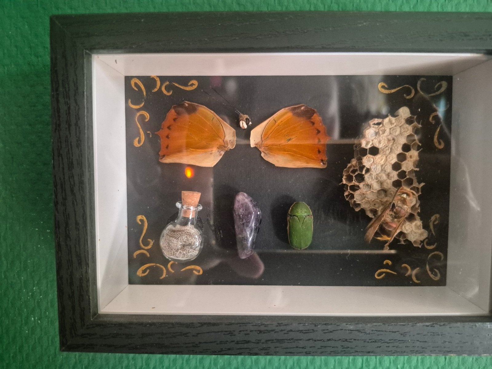 Verschillende taxidermie schilderijen, Ophalen