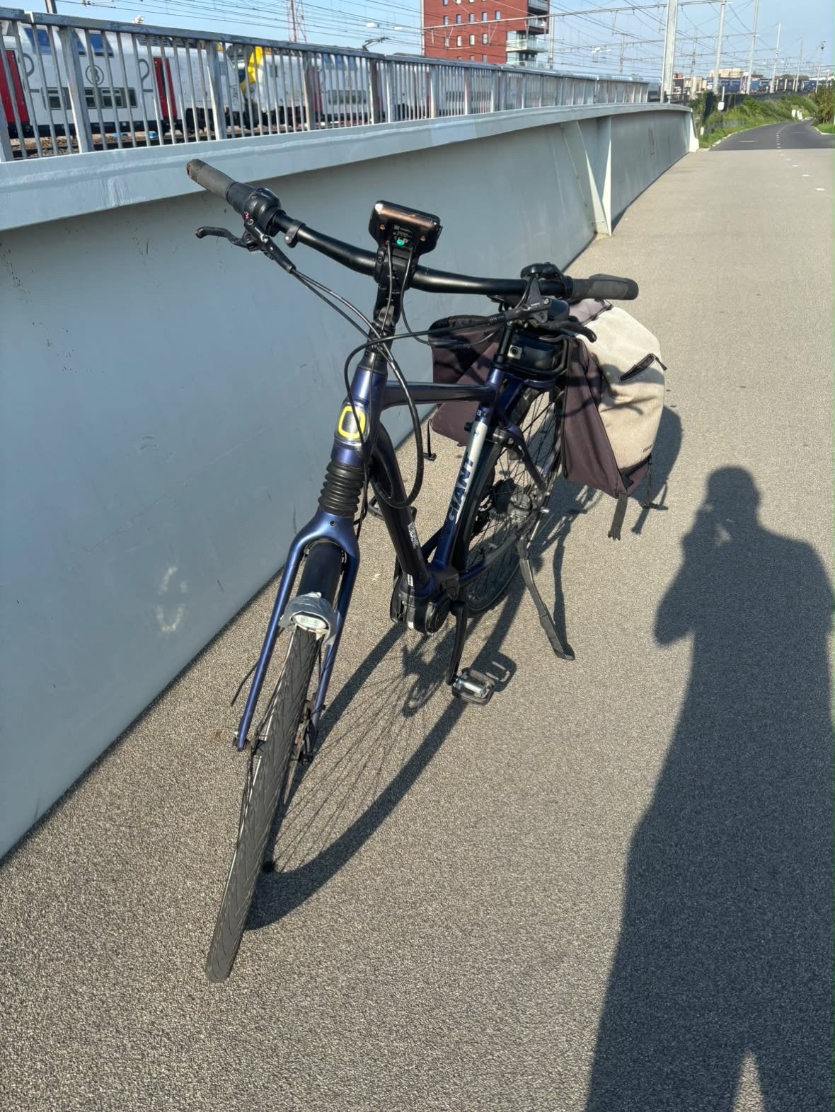 Giant e bike, Ophalen of Verzenden, Gebruikt, Giant