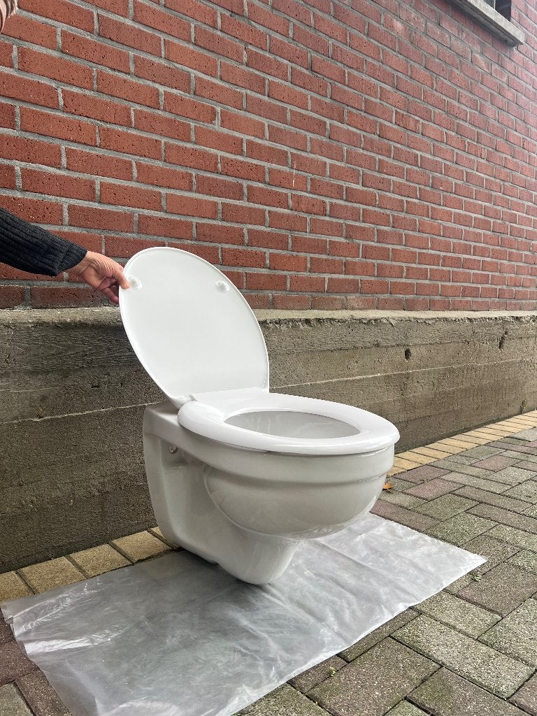 Hangtoilet met wc-bril, Doe-het-zelf en Bouw, Ophalen, Nieuw, Steen, Toilet