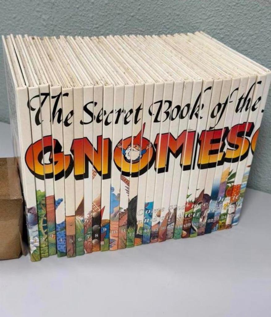 The Secret Book of the GNOMES - Volume 1-26 David kabouter, Ophalen of Verzenden, Zo goed als nieuw, Kind en Jeugd