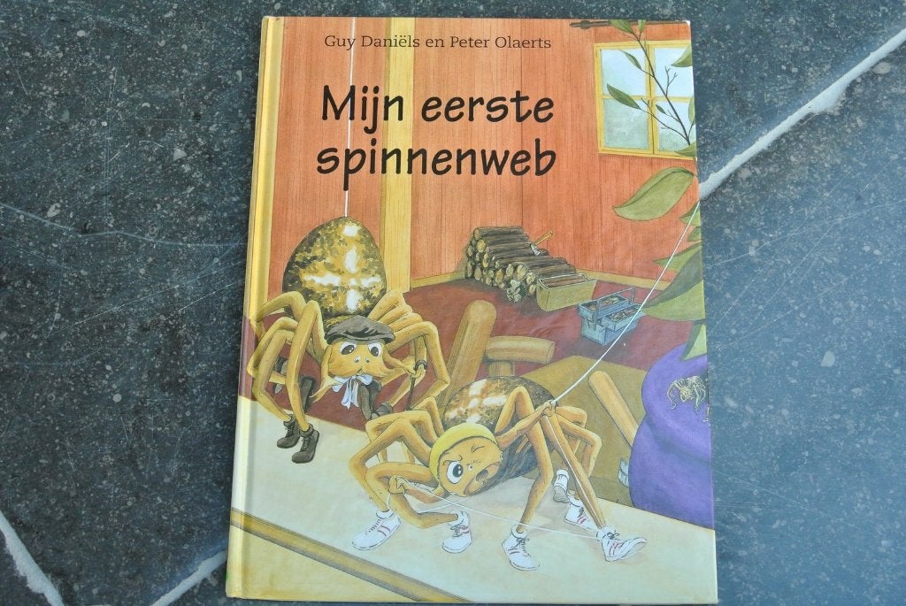 mijn eerste spinnenweb (Guy Daniëls), Ophalen of Verzenden